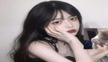 焦作服务比较好的地方